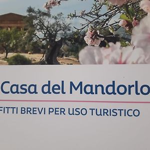 La Casa Del Mandorlo